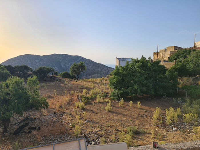 Dina Cretan food tavern at Achlada traditional village in Agia Pelagia